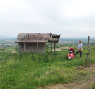 Ihringen am Kaiserstuhl